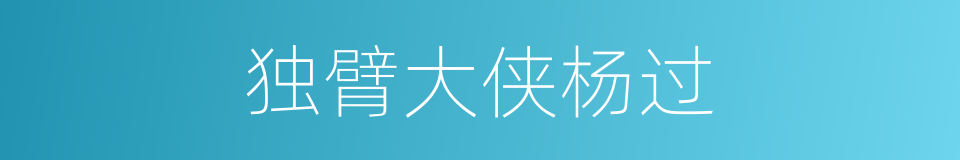 独臂大侠杨过的同义词