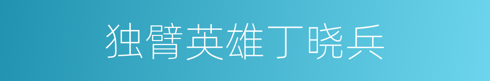 独臂英雄丁晓兵的同义词