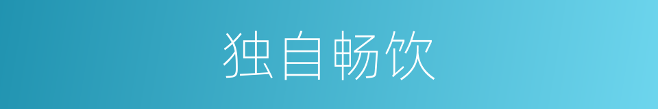 独自畅饮的同义词