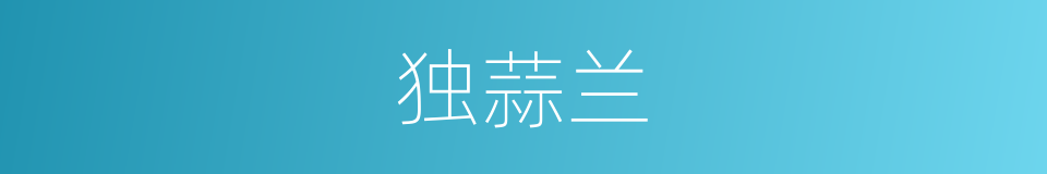独蒜兰的同义词