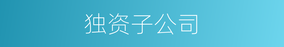 独资子公司的同义词