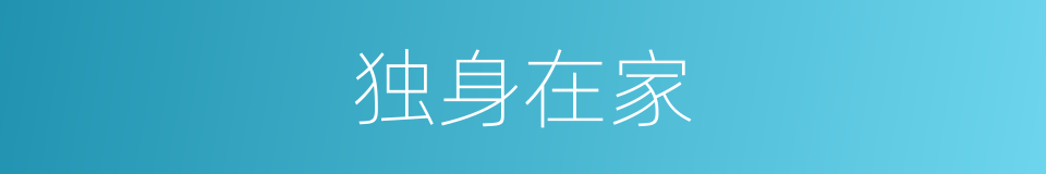 独身在家的同义词
