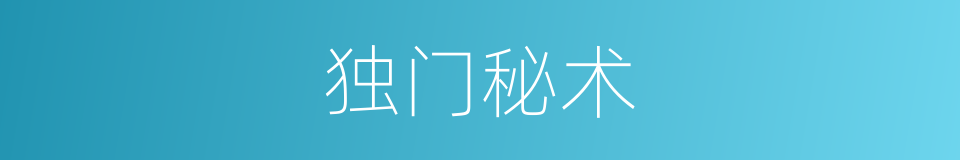 独门秘术的同义词