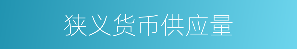 狭义货币供应量的同义词