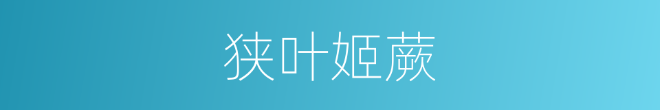 狭叶姬蕨的同义词