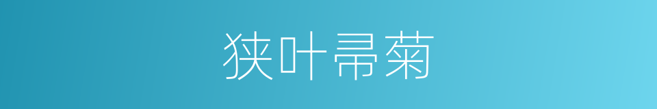 狭叶帚菊的同义词