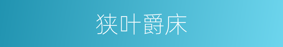 狭叶爵床的同义词