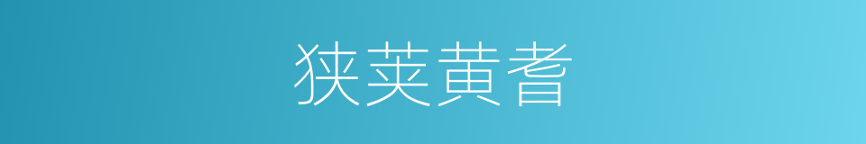 狭荚黄耆的同义词