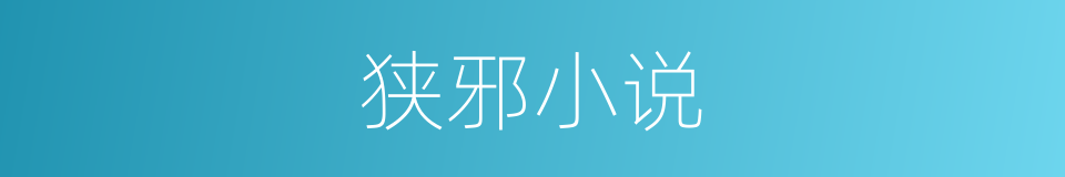 狭邪小说的同义词