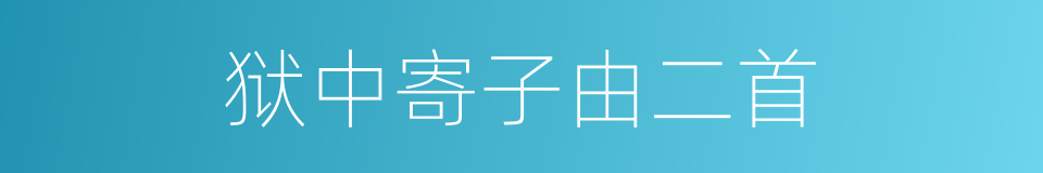 狱中寄子由二首的同义词