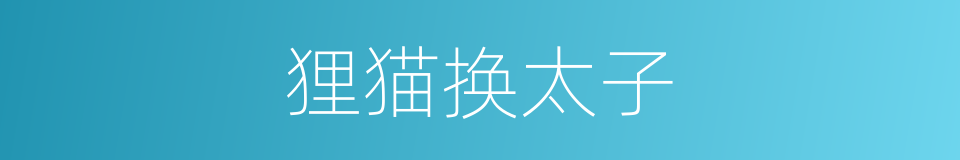 狸猫换太子的意思