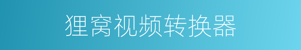 狸窝视频转换器的同义词
