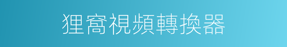 狸窩視頻轉換器的同義詞