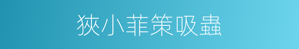 狹小菲策吸蟲的同義詞