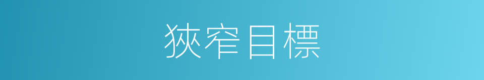 狹窄目標的同義詞