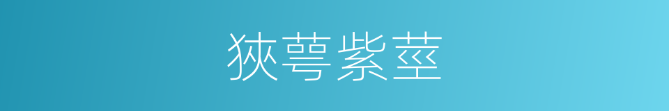 狹萼紫莖的同義詞
