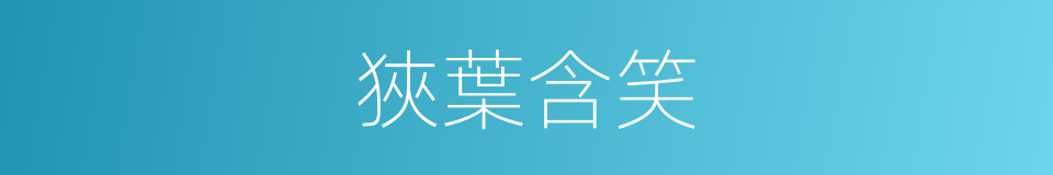 狹葉含笑的同義詞