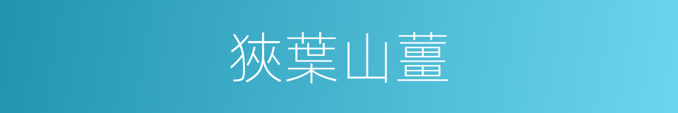 狹葉山薑的同義詞