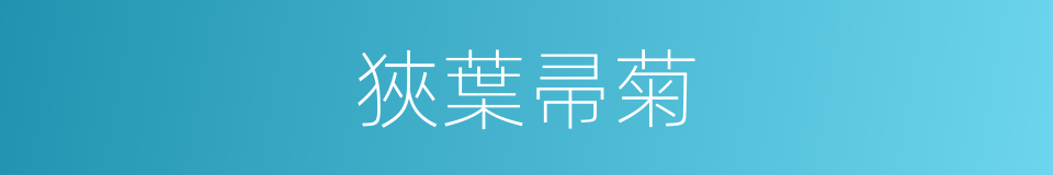 狹葉帚菊的同義詞