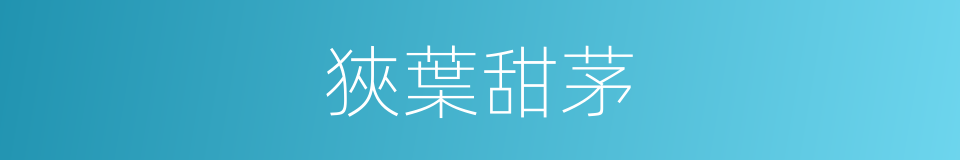 狹葉甜茅的同義詞