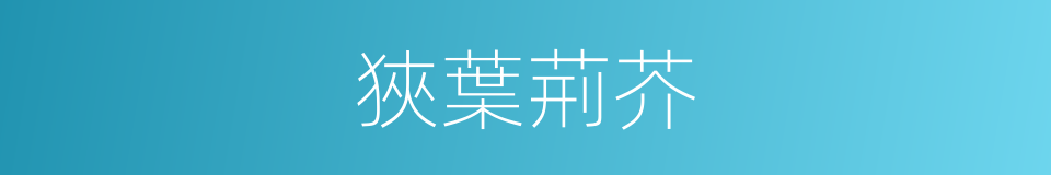 狹葉荊芥的同義詞