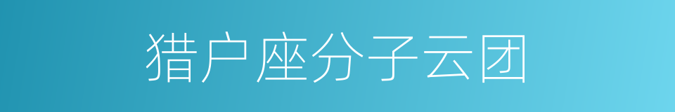 猎户座分子云团的同义词