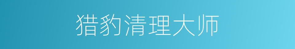 猎豹清理大师的同义词