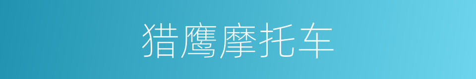 猎鹰摩托车的同义词