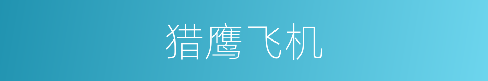 猎鹰飞机的同义词