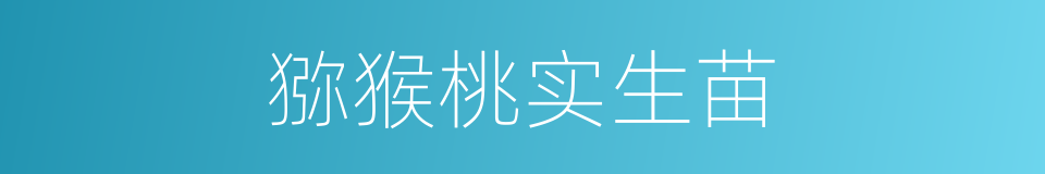 猕猴桃实生苗的同义词