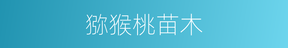 猕猴桃苗木的同义词
