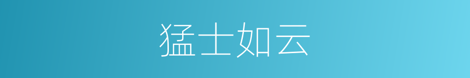 猛士如云的同义词