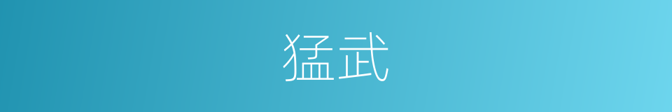 猛武的意思