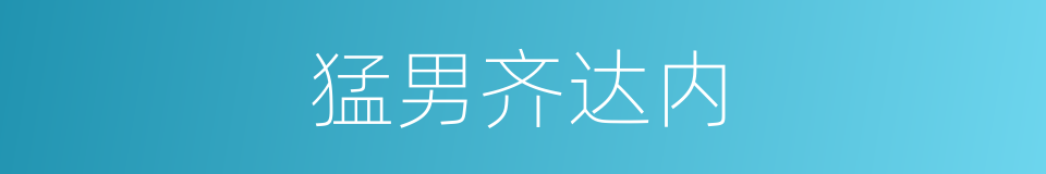 猛男齐达内的同义词