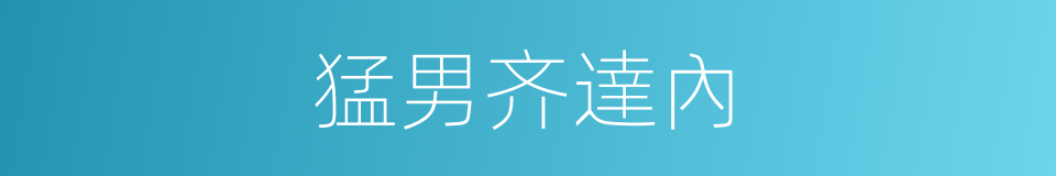 猛男齐達內的同義詞