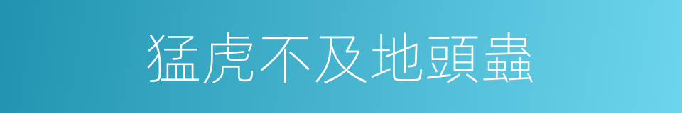 猛虎不及地頭蟲的同義詞