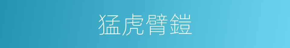 猛虎臂鎧的同義詞