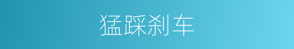 猛踩刹车的同义词