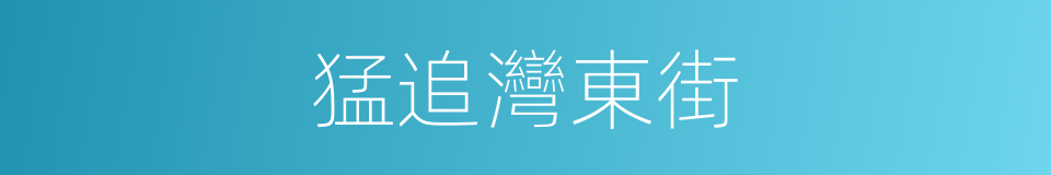 猛追灣東街的同義詞