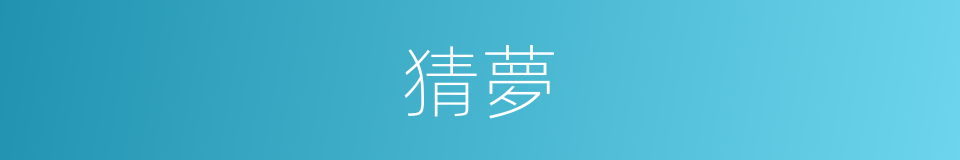猜夢的同義詞