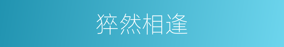 猝然相逢的同义词