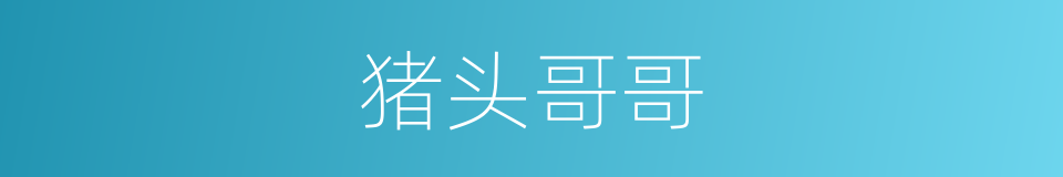 猪头哥哥的同义词