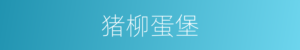 猪柳蛋堡的同义词