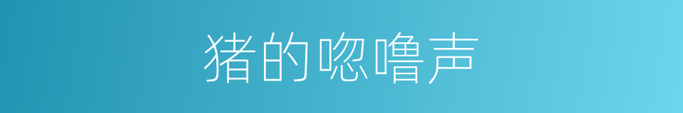 猪的唿噜声的同義詞