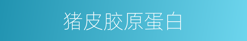 猪皮胶原蛋白的同义词