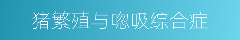 猪繁殖与唿吸综合症的同義詞