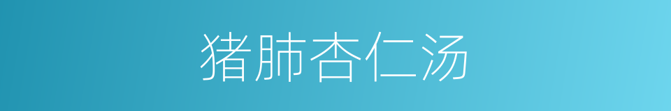 猪肺杏仁汤的同义词