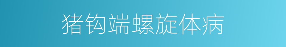 猪钩端螺旋体病的同义词