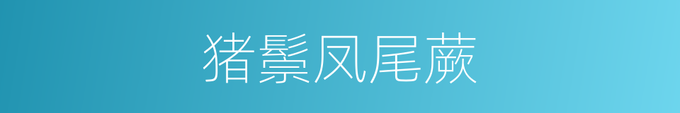 猪鬃凤尾蕨的同义词