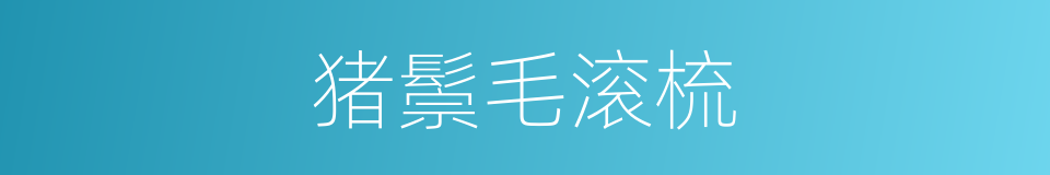 猪鬃毛滚梳的同义词